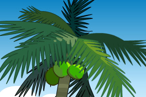 喝椰汁--中大奖