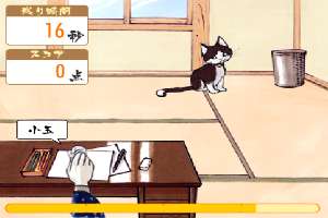 办公室纸团逗小猫