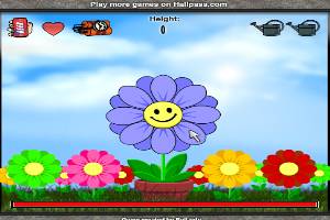 种鲜花！你能种多高？