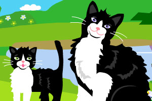 芭比妹妹的宠物猫