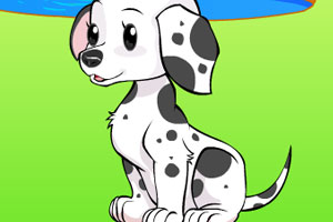 装扮可爱小狗狗2