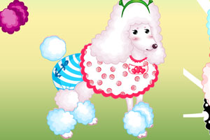 装扮可爱小狗狗1