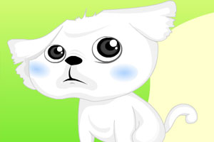 装扮可爱小狗狗3