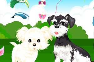 装扮可爱小狗狗4