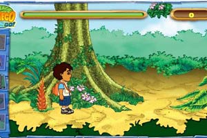 热带雨林历险记