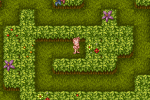 亚当夏娃的初恋