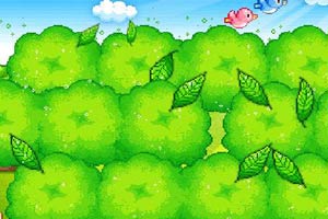 茶农茶园摘茶叶