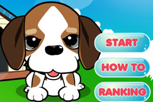 触摸饲养宠物狗