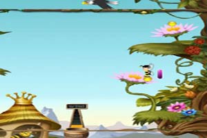 小蜜蜂采蜜喂蜂王