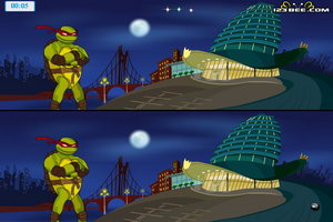 忍者神龟的秘密