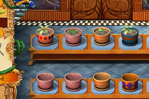 经营盆栽店种花赚钱