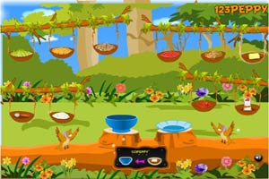 小鸟的美味佳肴