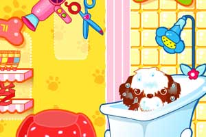 阿Sue宠物美容店