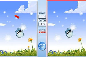 哈姆太郎的春天