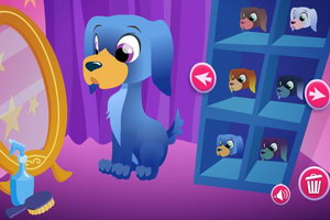 宠物猫狗美容店