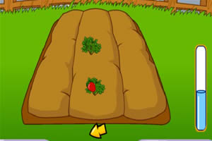 经营农场蔬果花园