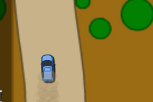 职业拉力赛2009年