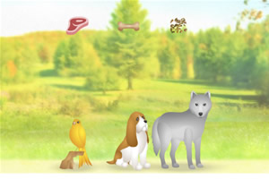 喂养可爱小动物