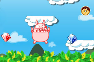 飞天猪的飞天梦