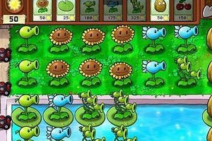 植物大战僵尸