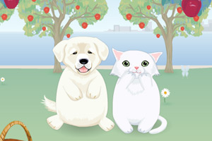 小猫小狗的野餐