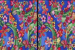 眼花缭乱找不同