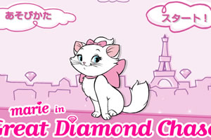玛丽猫取钻石
