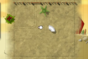 喂小羊儿吃苹果