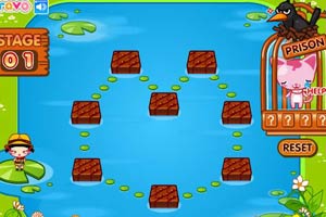 小黑花花历险记