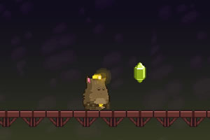 胖胖猫山洞大闯关