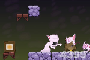 胖胖猫山洞大闯关