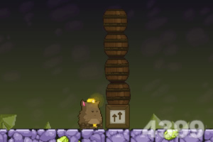 胖胖猫山洞大闯关