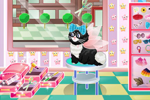 猫咪美容院