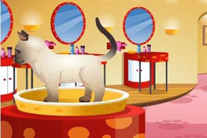 经营宠物时装秀