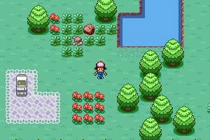 宠物小精灵Flash版