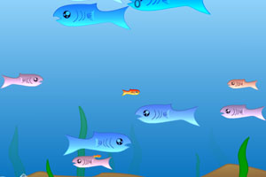 海底大鱼吃小鱼