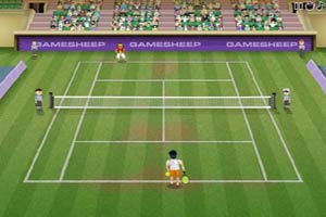 网球冠军争夺赛