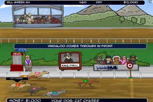 训练狗狗参加比赛