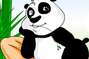 喂养可爱熊猫
