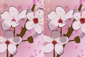 春天的花的差异