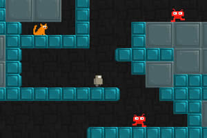 机器人寻找猫猫