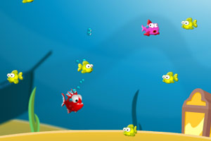 大鱼吃小鱼豪华版