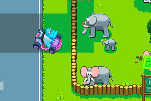 动物园的赛车手们