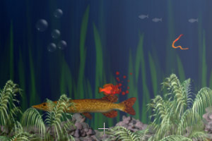 大鱼吃小鱼精致版