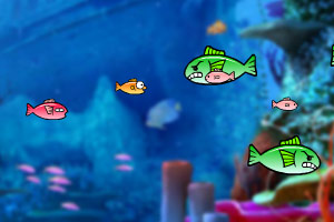 大鱼吃小鱼可爱版