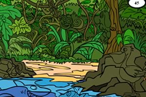 寻找隐藏的小动物