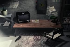 失踪的普赖西拉姨母