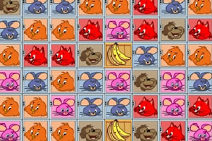 大猩猩清洁宠物店