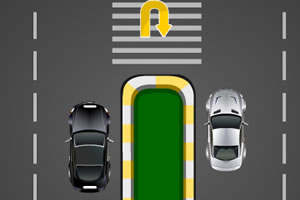 凡妮莎停车培训