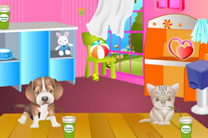 照顾可爱小宠物